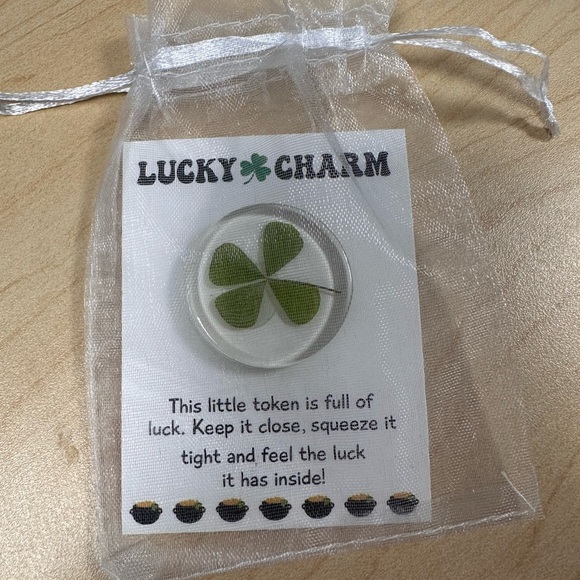 Other - St. Patty's Day Gift